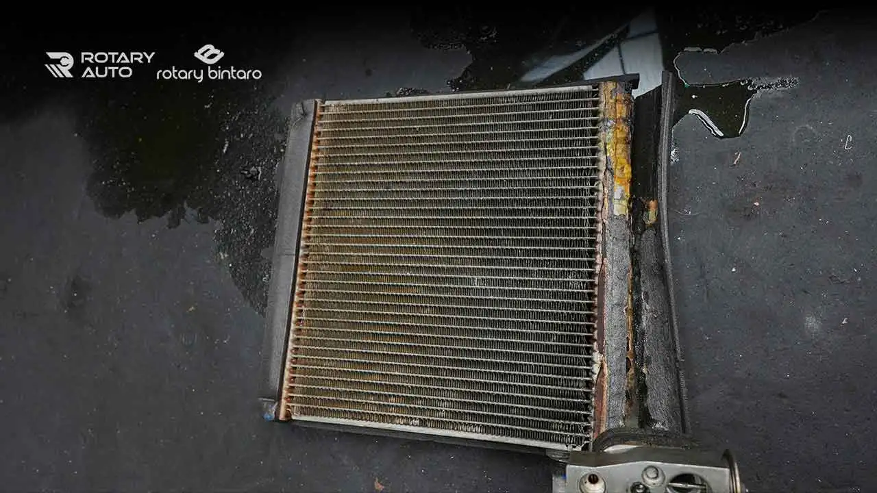 cuci evaporator AC mobil (2) cuci evaporator AC mobil (2)